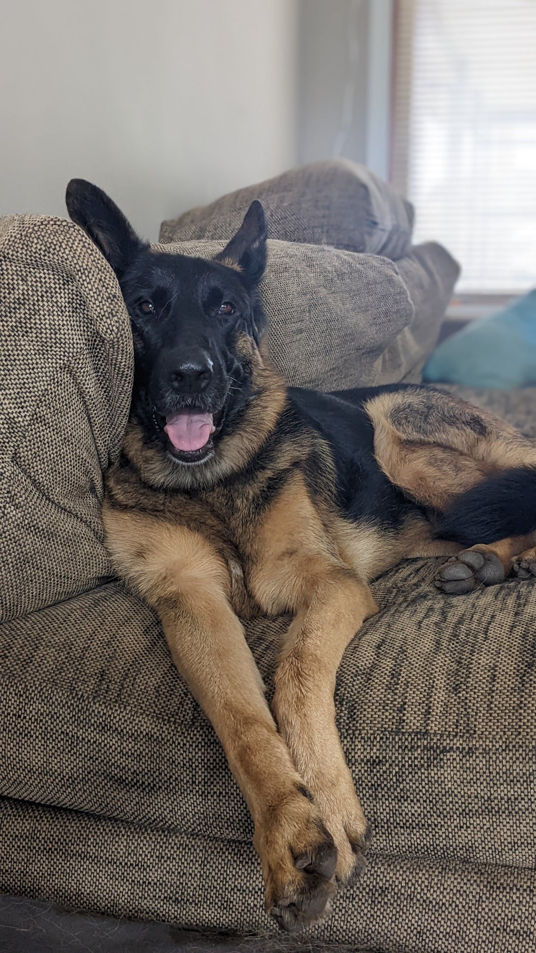 It's 2026, Where are we?