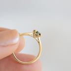 Engagement Consult | Online